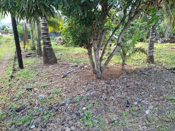 Residential Land