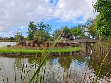 Residential Land