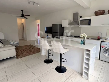 Penthouse de 3 Chambres