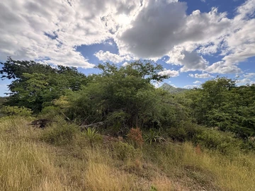 Residential Land