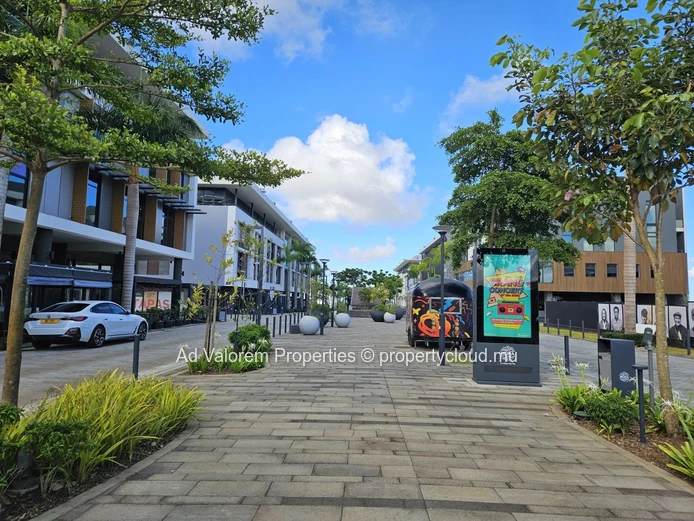 Telfair Views, Moka — A Move-In Ready Home