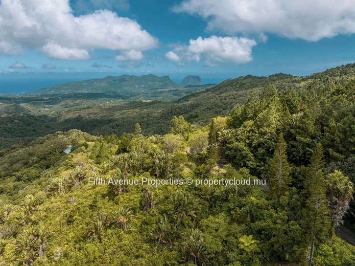 PLAINE CHAMPAGNE - TERRAIN  8900m2  COMMERCIAL