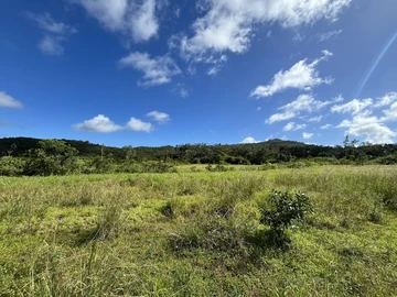 Residential Land