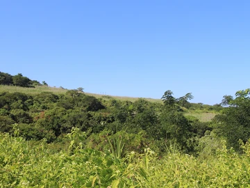 Terrain Résidentiel