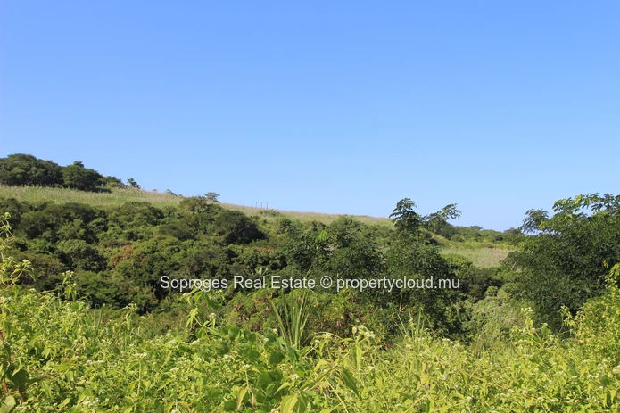 Baie du Cap - Terres agricoles de premier choix