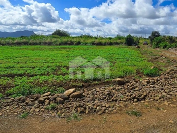 Terrain Agricole