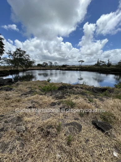 Discover Luxury Living at Pointe d'Esny Le Village – Mauritius