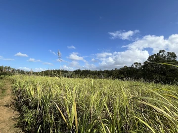 Agricultural Land