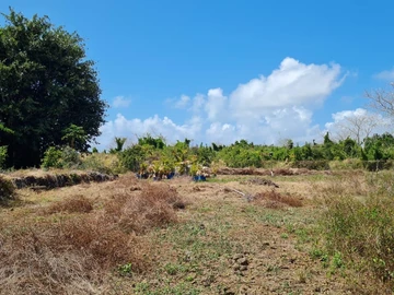 Terrain Agricole
