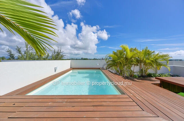 Penthouse 2 chambres avec piscine privée à vendre à Péreybère