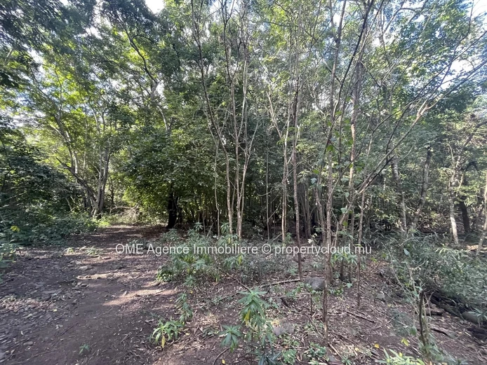 TAMARIN - Spacious land in a secured area