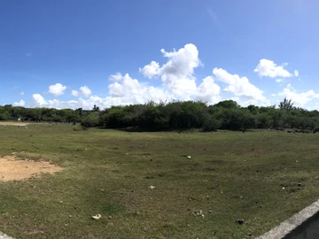 Terrain