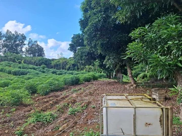 Agricultural Land