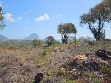 Residential Land