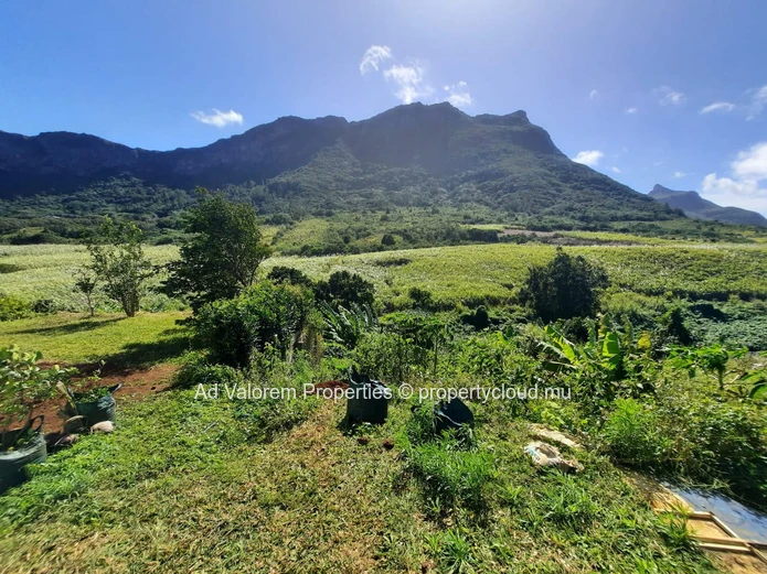 À VENDRE – Terrain Résidentiel d'Exception | Moka, Bois Cheri Road 90 perches (Mandat exclusif)