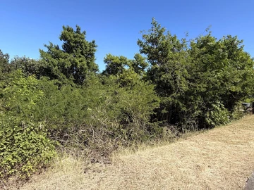 Residential Land