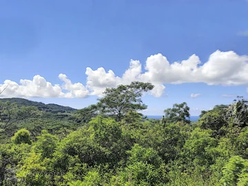 Land