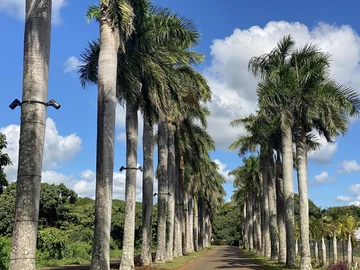 Land for sale in Beau Plan
