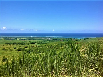 Terrain Agricole