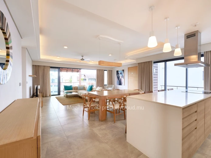 Rare à la vente : Magnifique Penthouse 