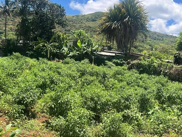 Residential Land