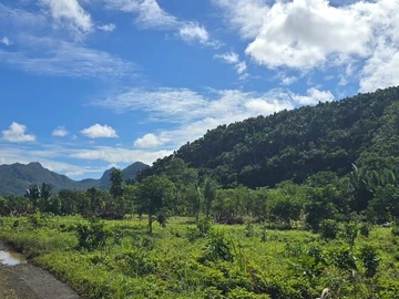 Agricultural Land