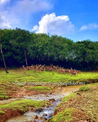 FOR SALE - Beautiful plot of land of 160 toises enjoying an exceptional view of the mountain, located at Domaine de L...