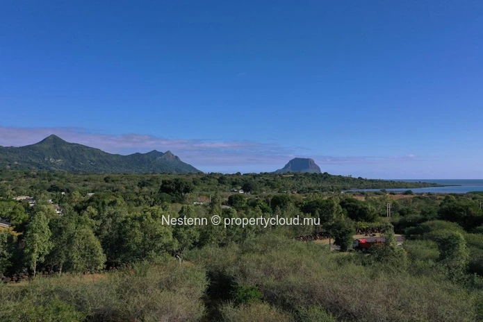 L'élégance absolue de cette incroyable villa de 445m2 au cœur de la nature mauricienne