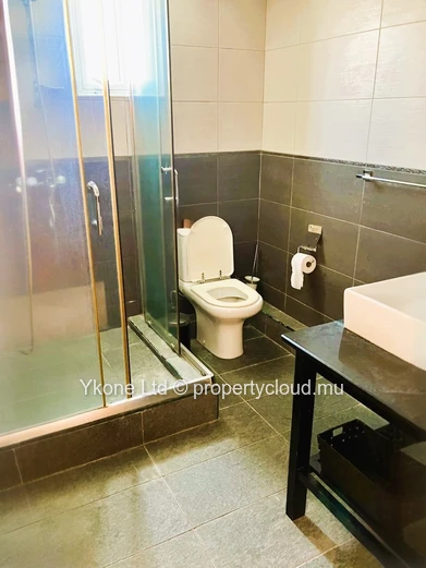 Penthouse For Sale In Flic en Flac