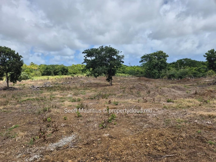 À vendre — Grand terrain agricole à La Forêt d'Aruty