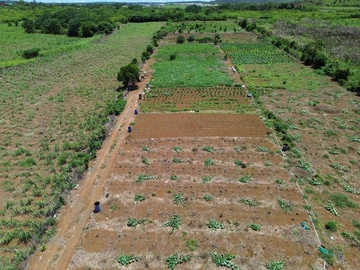 Terrain Agricole