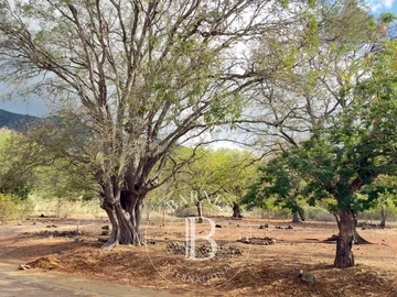 Residential Land