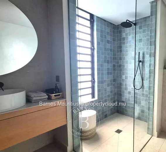 MONT CHOISY - Luxury Villa with swimming pool - 4 bedrooms