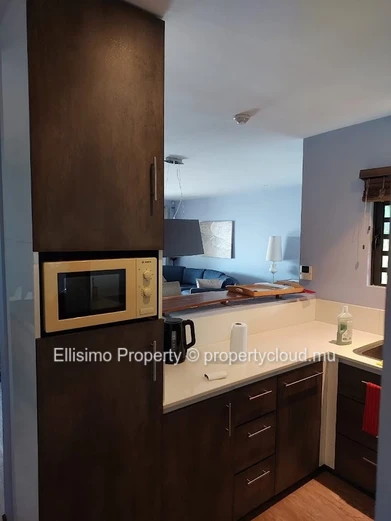 Appartement 3 chambre en Rez de chaussée 