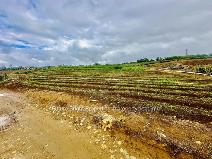 961M² De Terrain Agricole À La Laura – Environnement Calme Proche De St Pierre