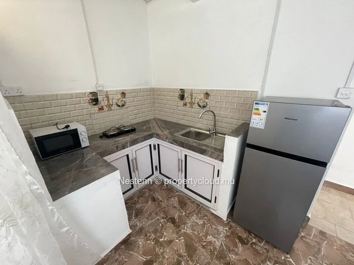 Freshly renovated furnished 3 bedrooms apartment 