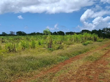 Agricultural Land