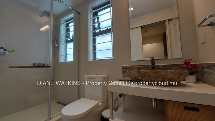 Modern apartment with beach access for rent in Pointe d'Esny