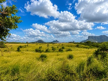 Agricultural Land