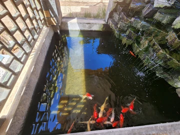 Maison de 5 Chambres