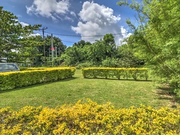 Commercial Land