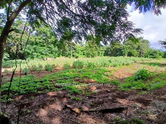 SUPERB BUILDING PLOT OF 1,790 m² IN PAMPLEMOUSSES