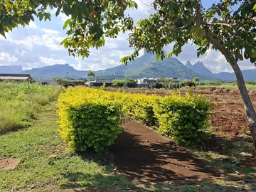 Residential Land