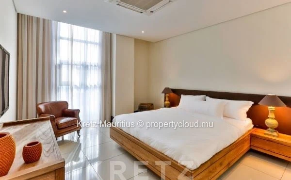 Luxury furnished apartment with rooftop pool