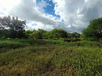 Residential Land