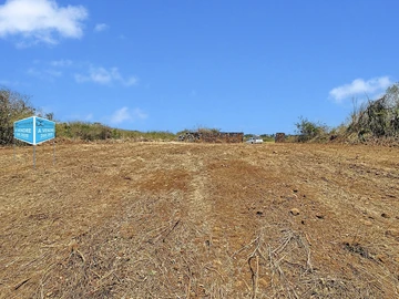 Terrain