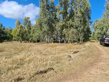 Splendid Residential Land For Sale In Rodrigues