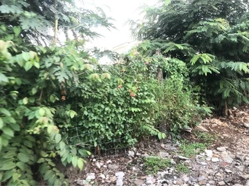 Residential Land