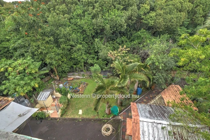 Spacious family house - St Paul