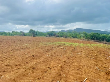 Agricultural Land